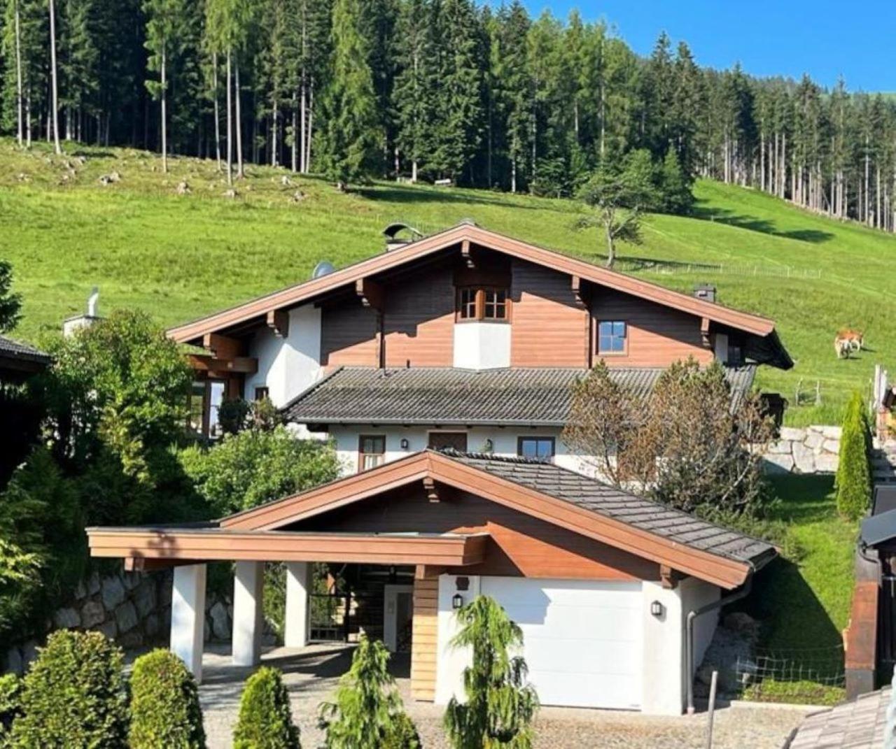 Chalet Steinberg 莱奥冈 外观 照片